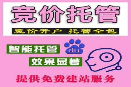 sem代运营公司案例分享：如何精准投放广告